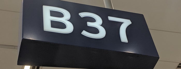 Gate B37 is one of US-Airport-DFW-1.