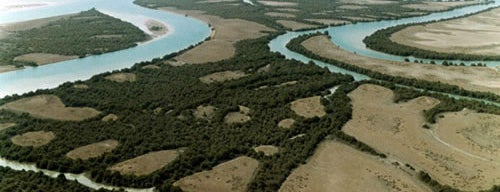 Mangrove Forests | جنگل‌های حرا is one of Iran Natural Venues | جاذبه‌های طبیعی ایران.