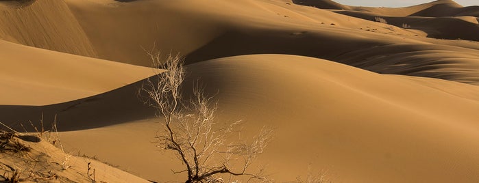 Maranjab Desert | کویر مرنجاب is one of Iran Natural Venues | جاذبه‌های طبیعی ایران.