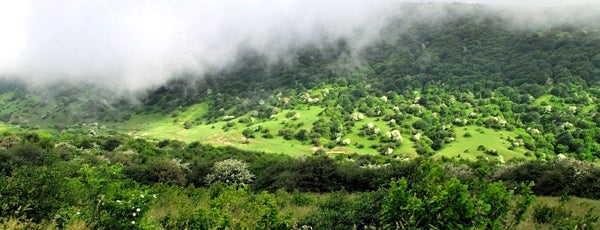 Fandoghloo Forest | جنگل فندقلو is one of Iran Natural Venues | جاذبه‌های طبیعی ایران.