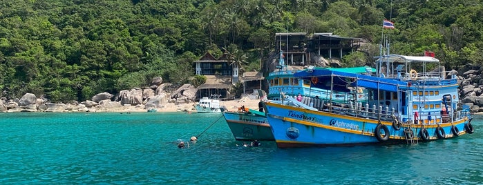 Mango Bay is one of Koh Tao Dive Spots.