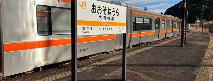 Ōsoneura Station is one of 熊野古道 伊勢路.