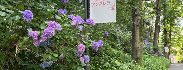 Metsa is one of 公園.