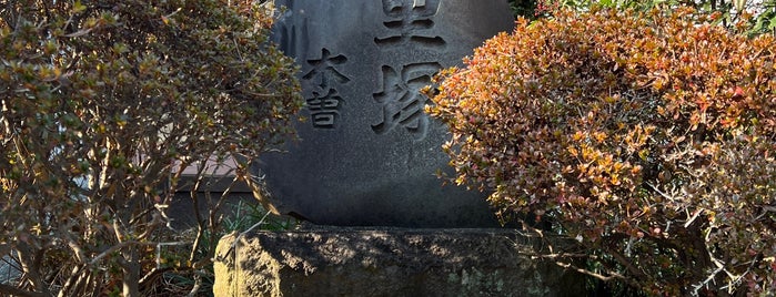 木曽一里塚 is one of 大山道.