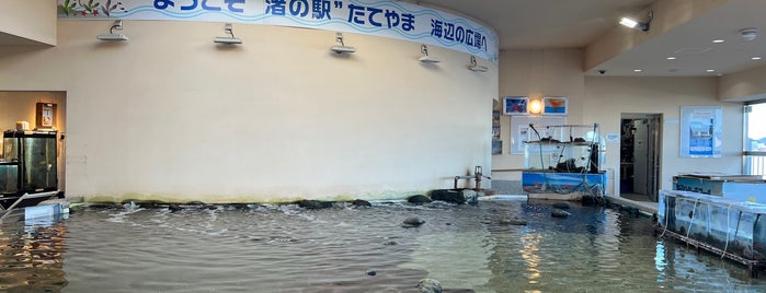 海辺の広場 is one of 日本の水族館 Aquariums in Japan.