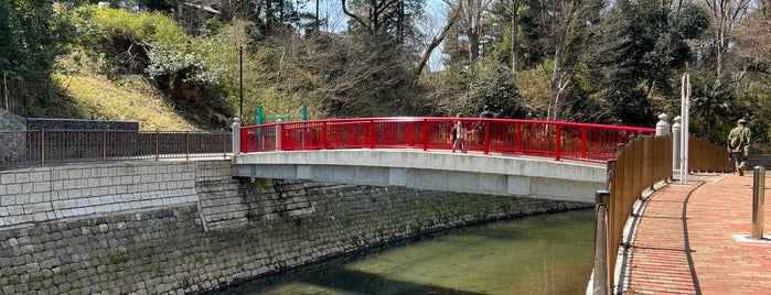 八幡橋 is one of 善福寺川に架かる橋.