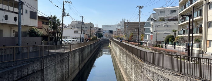 Wadabori Bridge is one of 善福寺川に架かる橋.