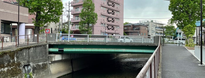 荻窪橋 is one of 善福寺川に架かる橋.