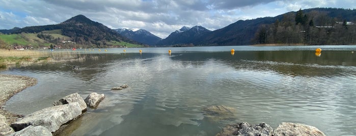 Schliersee is one of Muenchen.