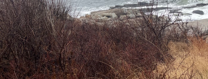 Halibut Point State Park is one of Rockport.