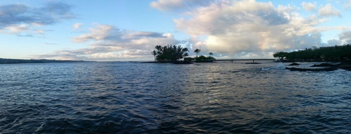 Coconut Island Park is one of Hawai'i Essentials.