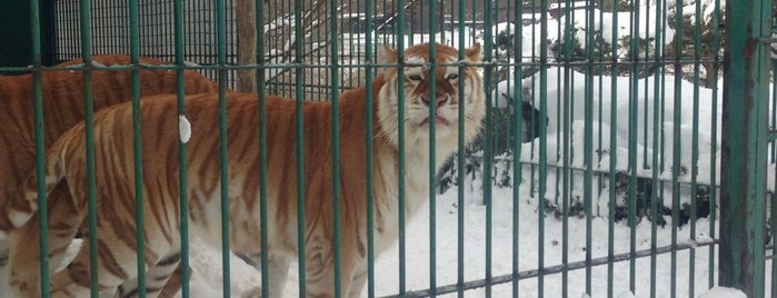 東北サファリパーク is one of 動物園.