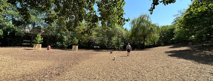 Hillside Dog Park is one of NYC Dog Friendly.