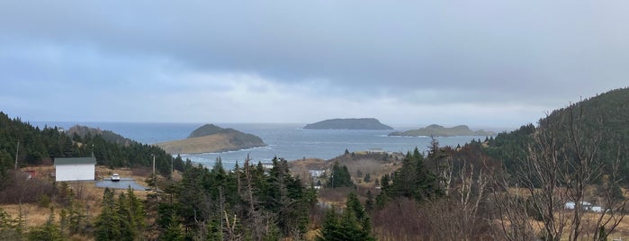 Tors Cove is one of Newfounland.