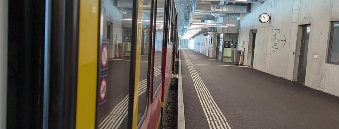 Bahnhof Jungfraujoch is one of Eurotrip!.