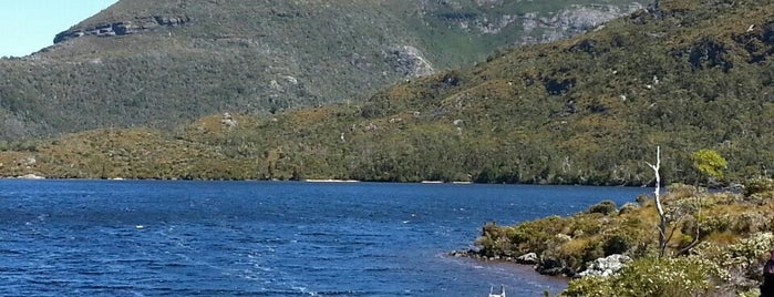 Cradle Mountain is one of Stefさんのお気に入りスポット.