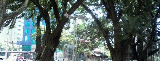 Praça Moema is one of สถานที่ที่ Claudia ถูกใจ.