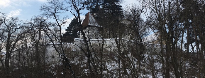 Cetatea Apold is one of sighisoara.