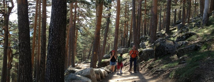 Camino Schmidt is one of Ever Changing Madrid - Spain.