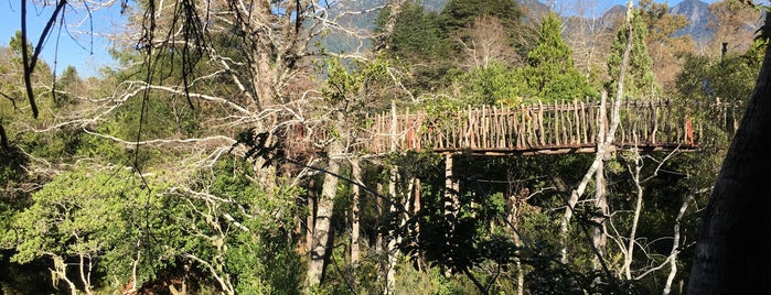 Tree Lodge, Nidos de Pucón is one of América.