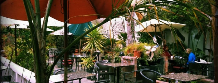 Café Leila is one of สถานที่ที่บันทึกไว้ของ Kouros.