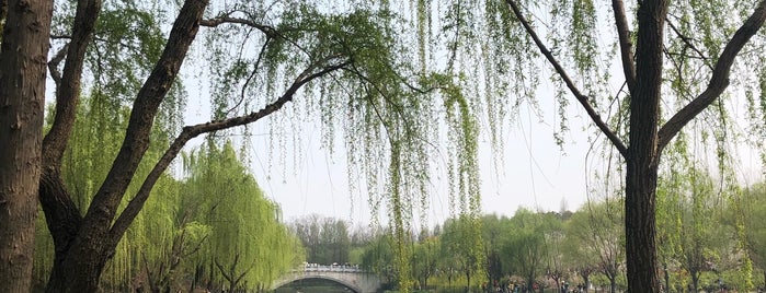 Gucun Park is one of Shanghai Public Parks.