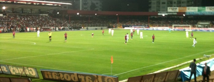 Mersin Tevfik Sırrı Gür Stadı is one of Türkiye'deki Futbol Stadyumları.