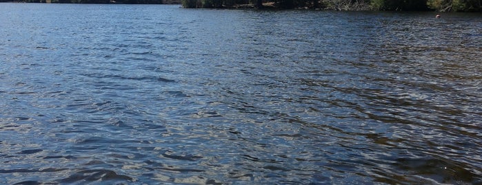 Dyken Pond Environmental Center is one of We Should Go.