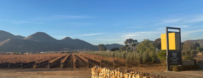 Vinicola Émeve - De los mejores vinos del Valle de Guadalupe is one of Sibarita.