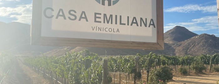 Viña Emiliana is one of สถานที่ที่ Teresa ถูกใจ.