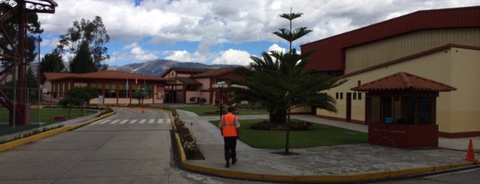 Davy College is one of Peru.