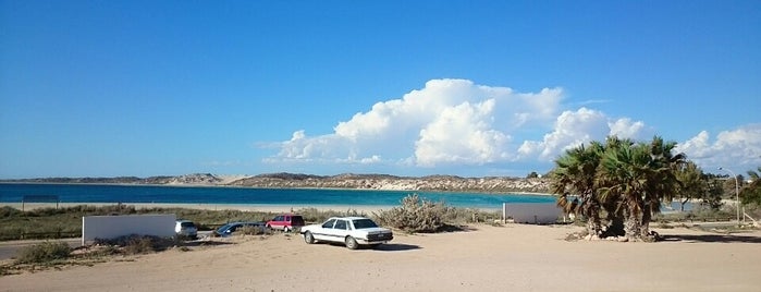 Ningaloo Coral Bay Beach is one of Western Australia 2015.