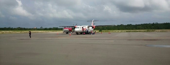 Bandar Udara Dumatubun is one of Airports in South East Asia.