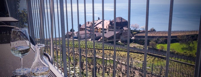 Auberge du Vigneron is one of Geneva.