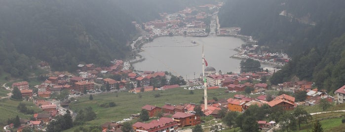 Uzungöl is one of สถานที่ที่ ♟️ⓢⓔⓜⓡⓐ♣️ ถูกใจ.