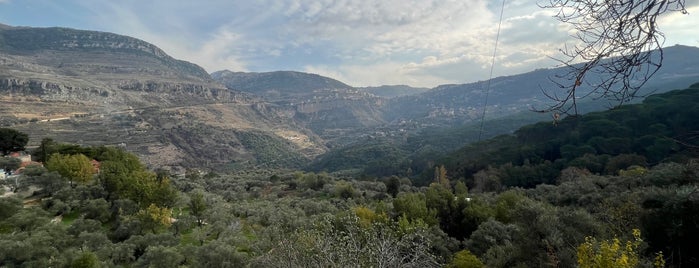 Bkassine Village is one of Places to visit in Lebanon.