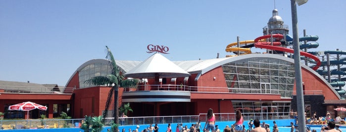 Gino Paradise is one of Temo'nun Beğendiği Mekanlar.