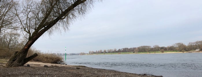 Rheinstrand Lörick is one of #DüsseldorfEntdecken - Die besten Orte.