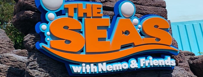 The Seas with Nemo & Friends is one of สถานที่ที่ David ถูกใจ.