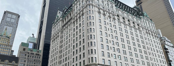 The Plaza Hotel is one of NYC 2024.
