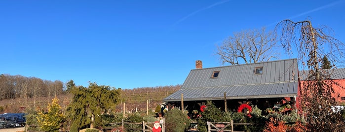 Windy Hill Farm Nursery Orchards & Garden Center is one of Berkshires.