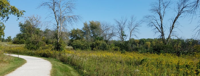 Moraine Hills State Park is one of Forest Preserves, Parks, and Trails.