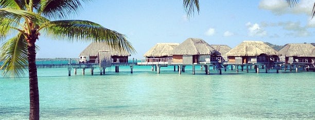 Bora bora 2020