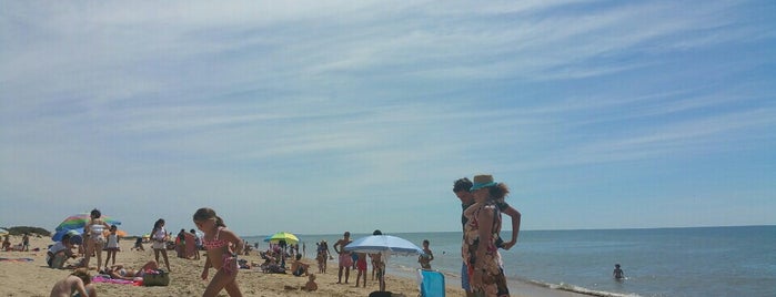 Playa Flecha de El Rompido is one of Posti che sono piaciuti a Rolando.