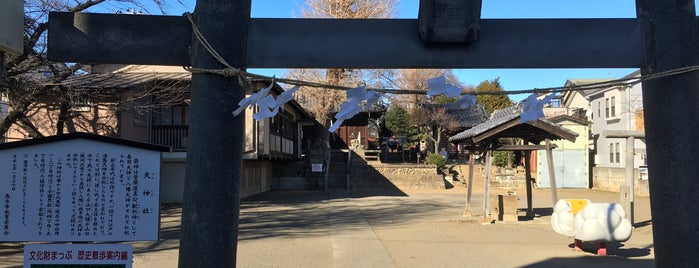 天神社 is one of 埼玉県_志木市.