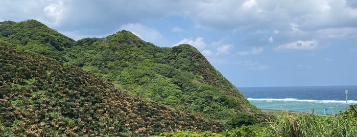 安木屋場ソテツ山 is one of 西郷どんゆかりのスポット.