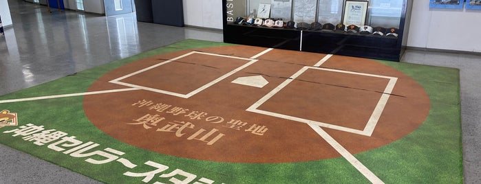 Okinawa Cellular Stadium Naha is one of Top Picks for Sports Stadiums/Fields/Arenas.