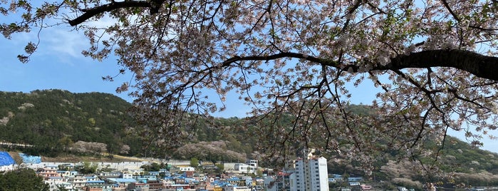 甘川文化村 is one of South Korea.