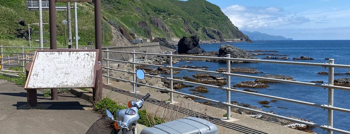 Cape Shirakami is one of 自然地形.