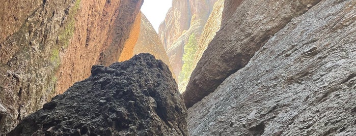 Old Pinnacles Trail to Balconies Cave is one of สถานที่ที่ Vihang ถูกใจ.